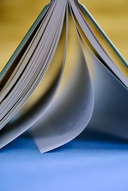 6F313E28-C9AC-4079-B8E0-353DB536027A-13513-000004317A503D2B