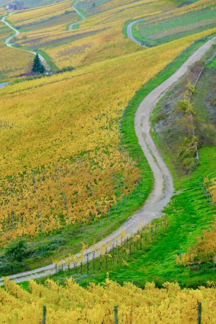 7CE99CFA-329C-42AA-93BE-F60C1F1A3A64-79636-000019CBA58C55C7