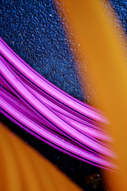 9D78BD3A-C95F-41AE-B89E-463DA0895AAA-7203-0000021D1F125312